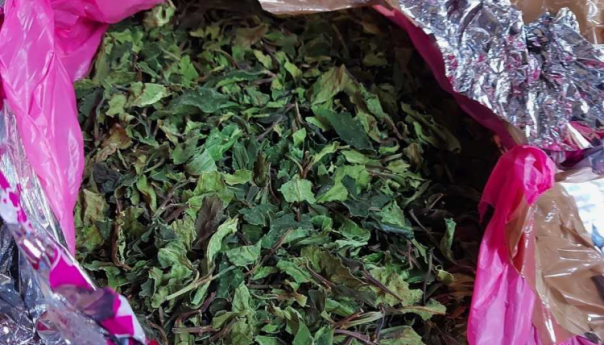 Na GP Aerodrom Sarajevo zabranjen uvoz pošiljke 296 kg lista moringe