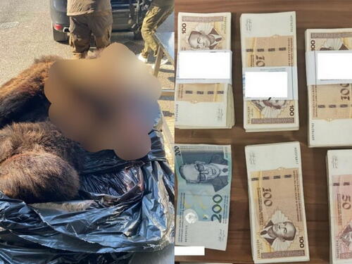 Na granici Hrvatske s BiH Srbin uhvaćen s glavom medvjeda u gepeku