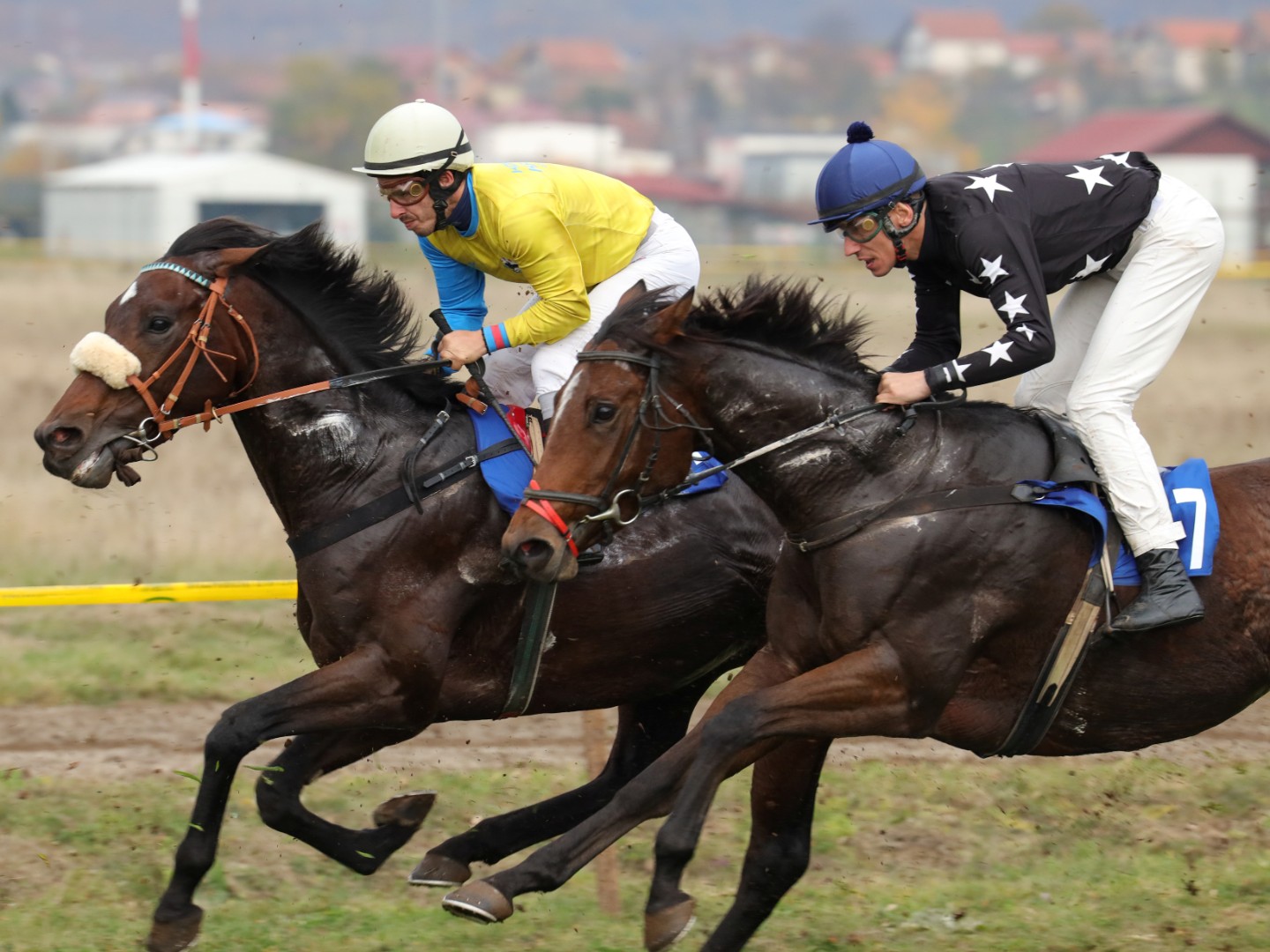 Međunarodne konjičke trke: Trijumfovao True and quick iz Cazina