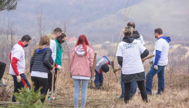 Na Humu posađeno 100 stabala lipe