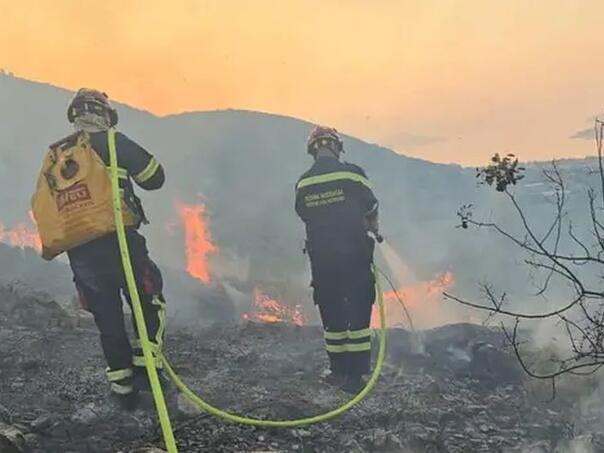 Na Jadranu bukti ogromni požar, gasi ga više od 60 vatrogasaca i kanader