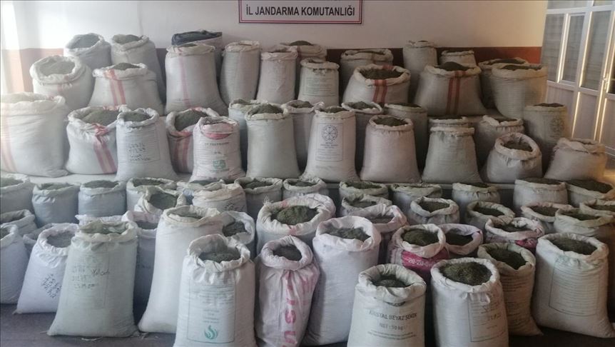 Na jugoistoku Turske zaplijenjena 1,1 tona marihuane i 49 kilograma hašiša