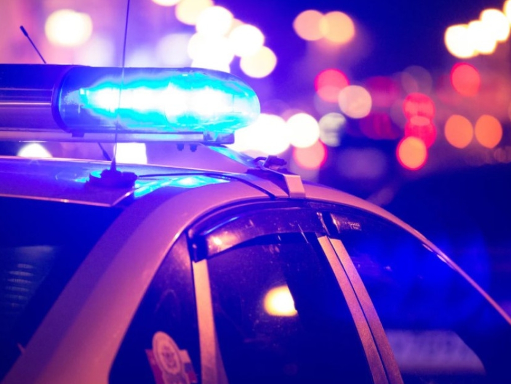 Na magistralnom putu Gradiška - Banja Luka poginuo pješak (59)