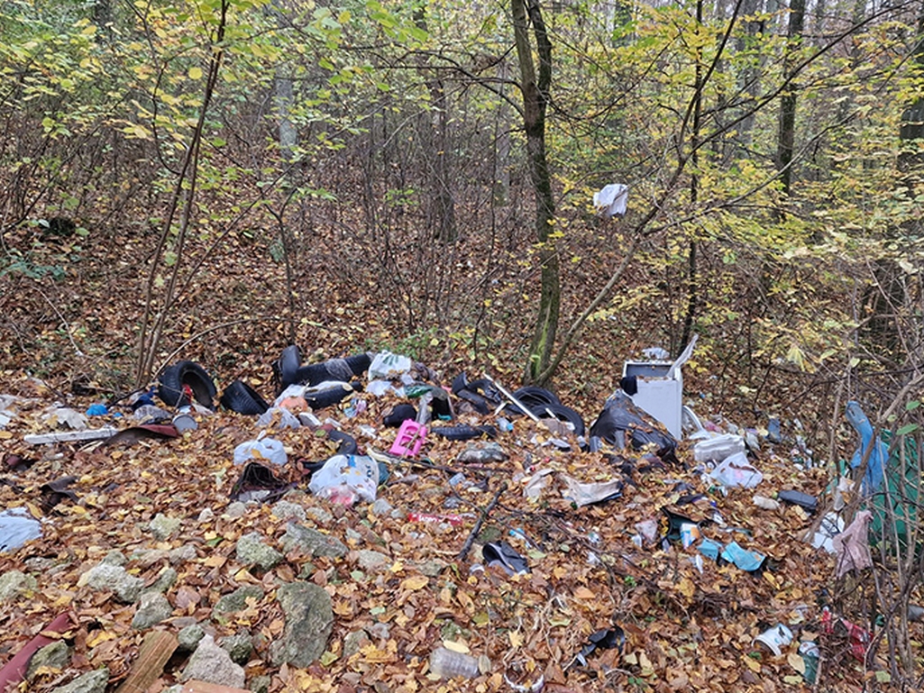 Na Palama postavljene nadzorne kamere, žele se spriječiti divlje deponije