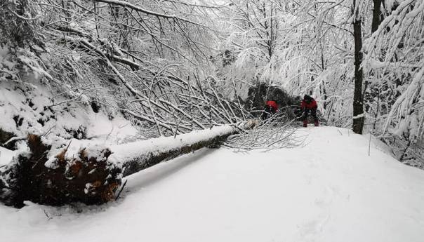 Na Plješevici spašeno šest migranata
