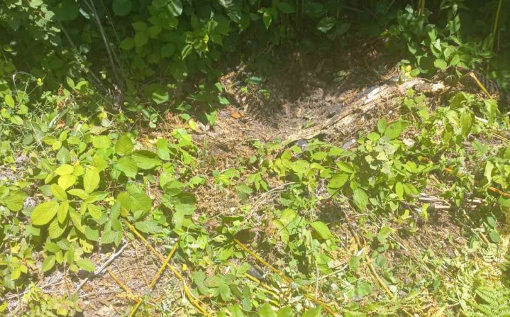Na području Banovića pronađeni posmrtni ostaci najmanje jedne nestale osobe