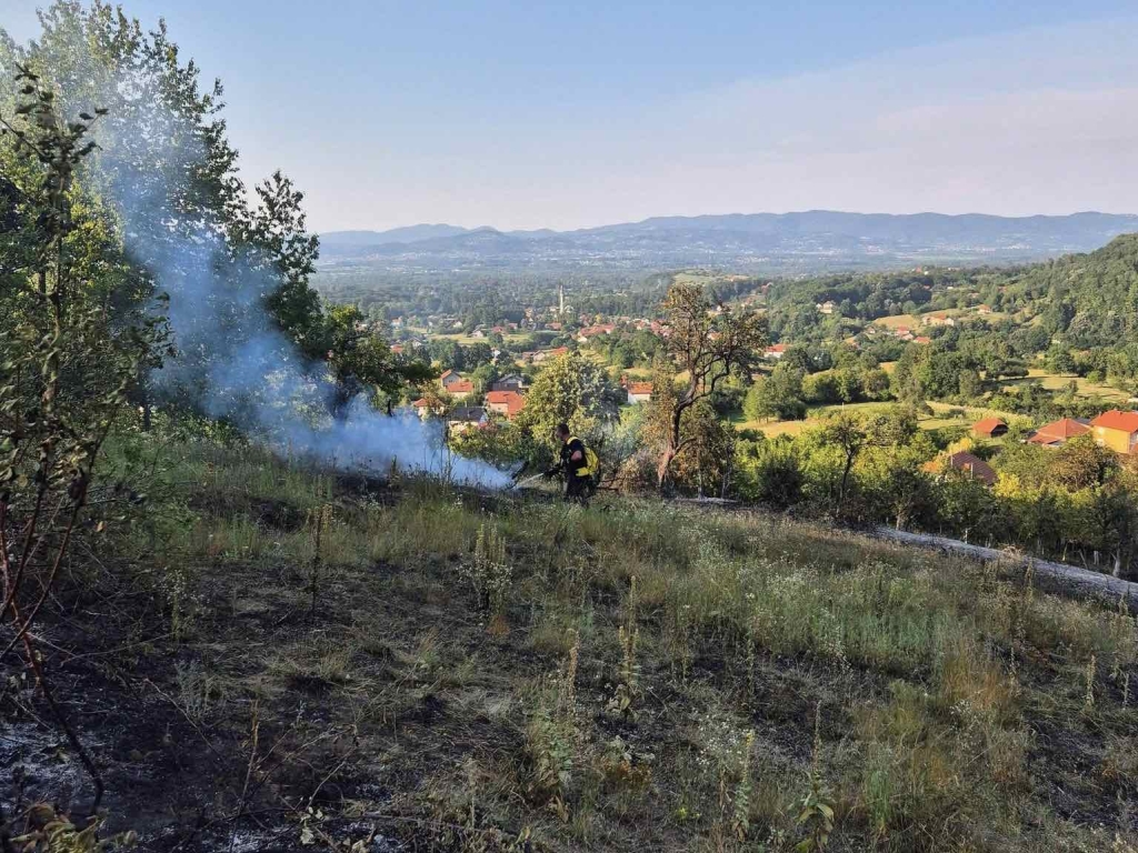 Na području Kladnja izgorjelo oko osam hektara šume