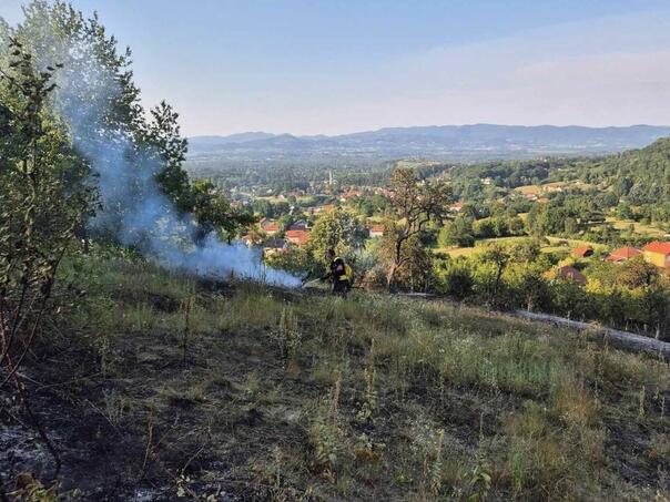 Na području Kladnja izgorjelo oko osam hektara šume