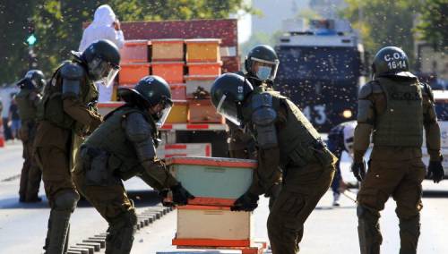 Na protestima u Čileu uhapšena četiri pčelara, pčele izbole policajce