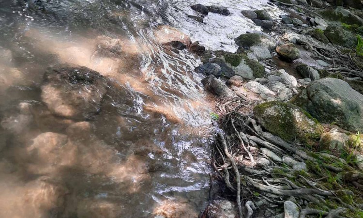 Na rijeci Trešanici nisu uočene naftne mrlje i pomor ribe