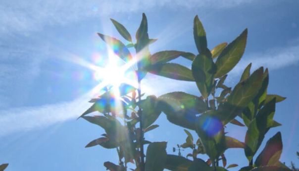Na snazi narandžasto upozorenje, maksimalna temperatura do 38 stepeni