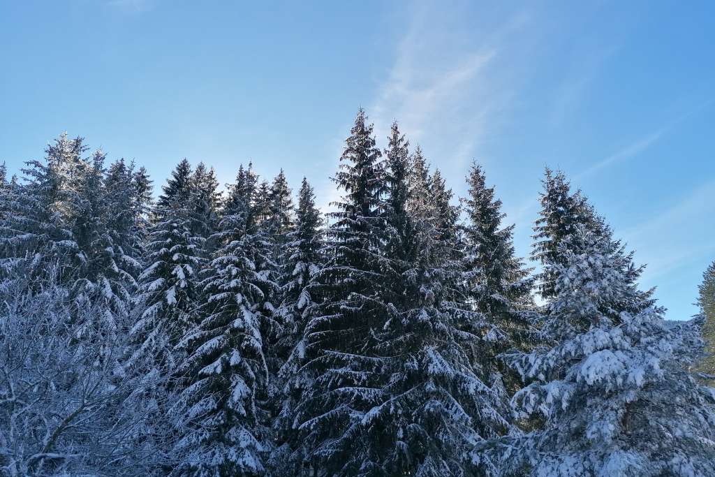 Na Sokocu jutros minus 22, danas sunčano u cijeloj zemlji, temperature u blagom porastu