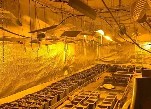 Na Sokocu pronađena velika laboratorija i skoro šest kilograma marihuane