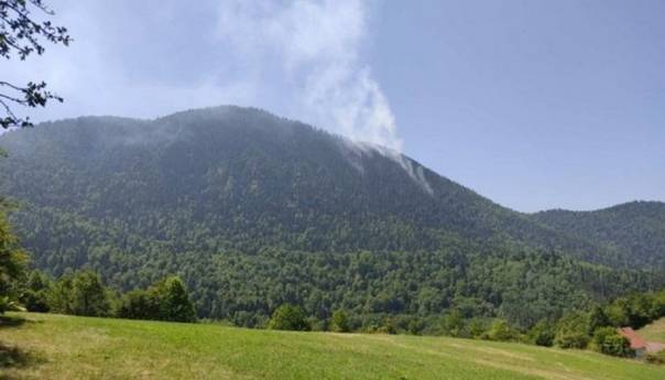 Na Tari gori borova šuma na granici sa BiH