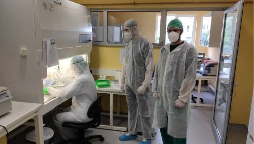 Na Veterinarskom fakultetu u Sarajevu izoliran bh. soj virusa SARS-CoV-2
