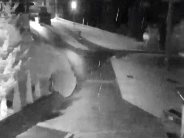 Video: Na Vlašiću pada snijeg!