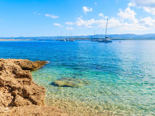 Najezda otrovnih riba u Jadranskom moru, biće ih sve više