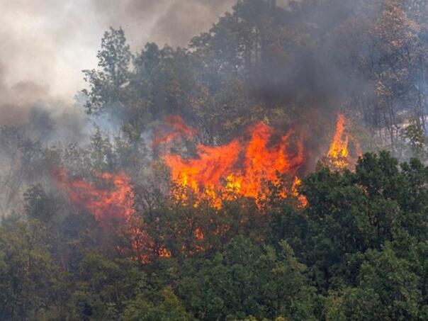 Najgori požari u Turskoj ove godine: Gore domovi, ljudi bježe...