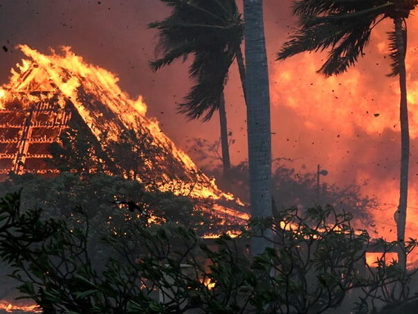 Najmanje 1.100 ljudi i dalje se vode kao nestali nakon požara na Havajima