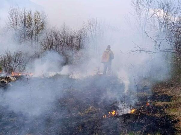 Najmanje 12 ljudi poginulo u šumskim požarima u Alžiru