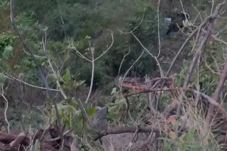 Najmanje 15 osoba poginulo u Indiji kada je autobus sletio u klisuru