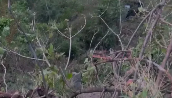 Najmanje 15 osoba poginulo u Indiji kada je autobus sletio u klisuru
