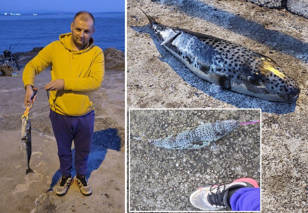 Najsmrtonosnija riba u Jadranu: Nije znao šta je ulovio, a onda ga dočekalo iznenađenje