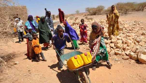 Najsušniji period u Africi, 20 miliona ljudi suočeno s nestašicom hrane