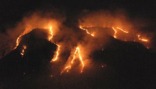 Najteži požari u brazilskoj regiji Amazona u 13 godina