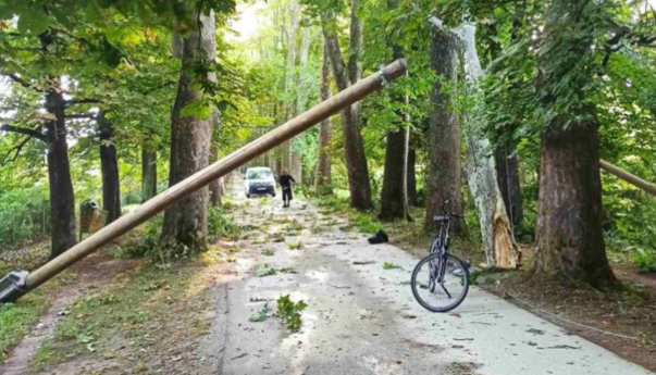 Nakon nevremena: Velike štete u Velikoj Aleji na Ilidži
