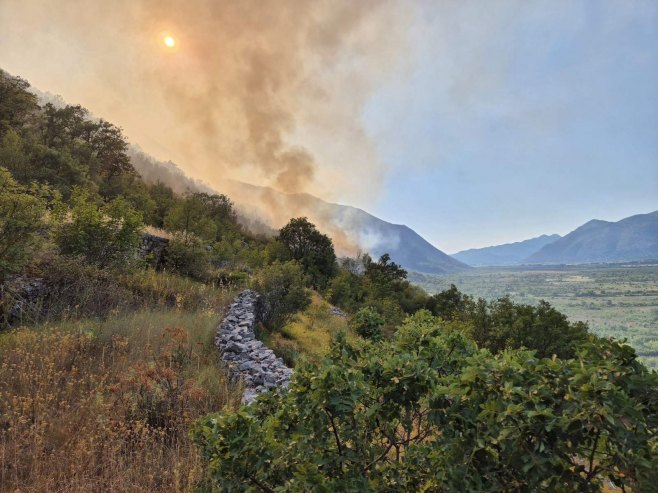 Nakon pet dana borbe: Požar kod Trebinja lokalizovan