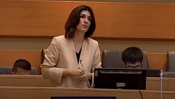 Nakon prozivke Bosića, Ćudić poručila: Nisam predstavnik bošnjačke većine