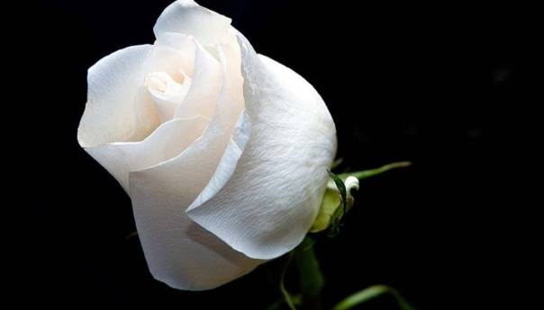 Nakon samoubistva djevojčice, iz Vijeća roditelja KS poručuju: Smanjite pritisak