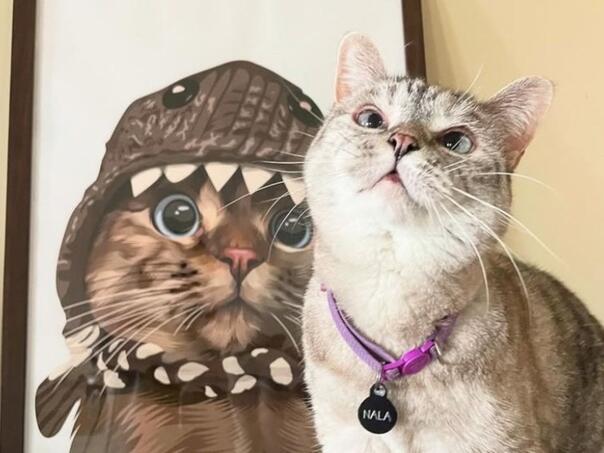 Nala - zvijezda među mačkama: Ušla u Guinnessovu knjigu rekorda