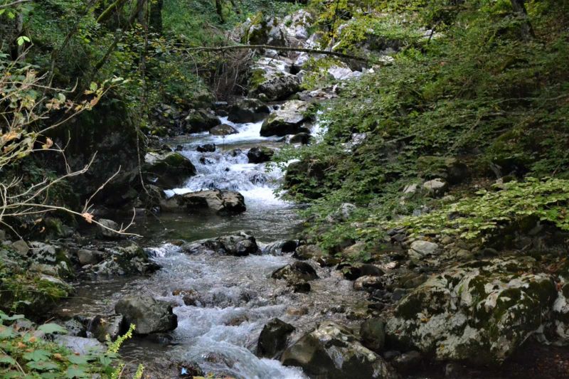 Nama je i dalje pandemija - ali gazdama ipak neće biti premija!