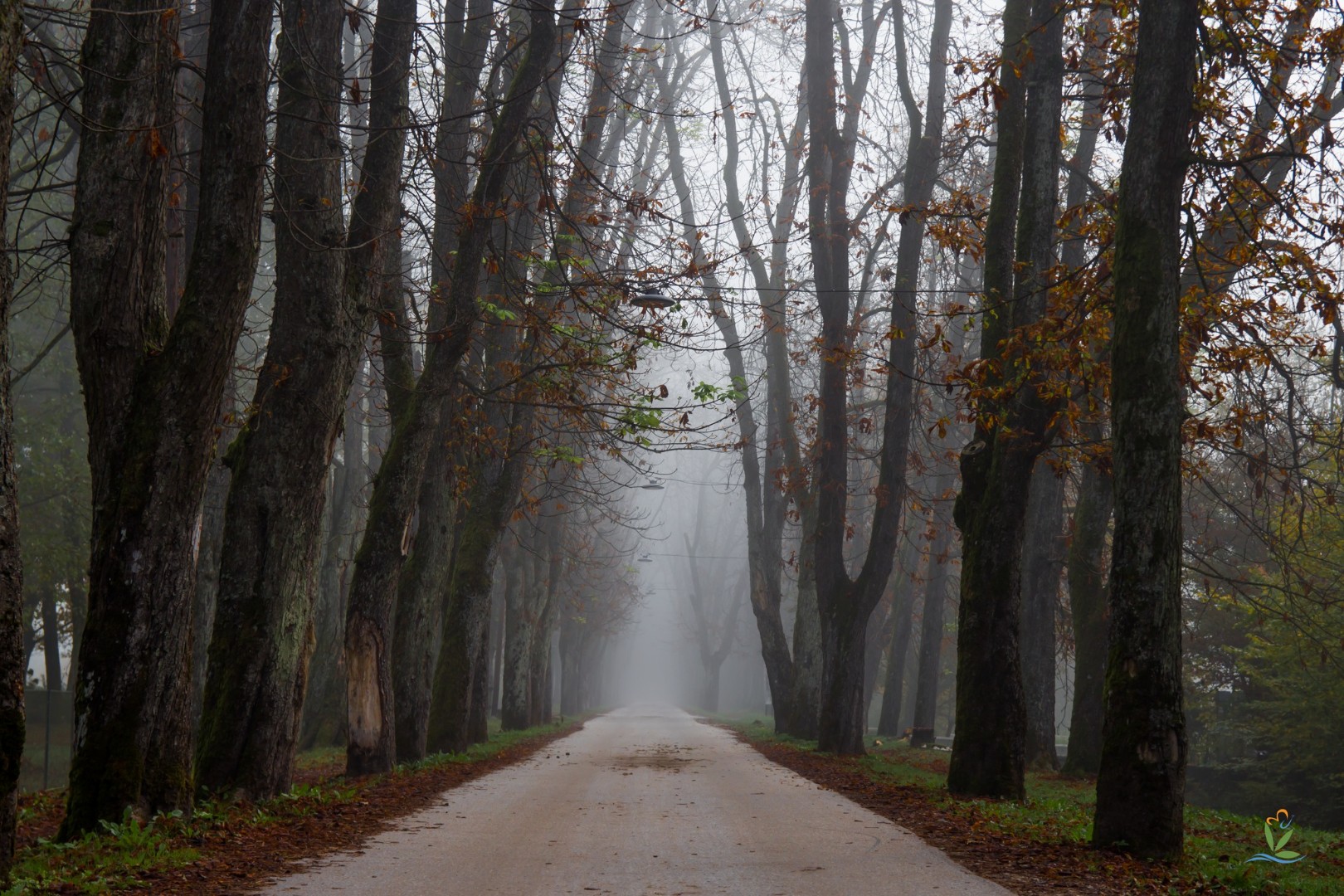 Naoblačenje u BiH, danas kiša i olujni udari