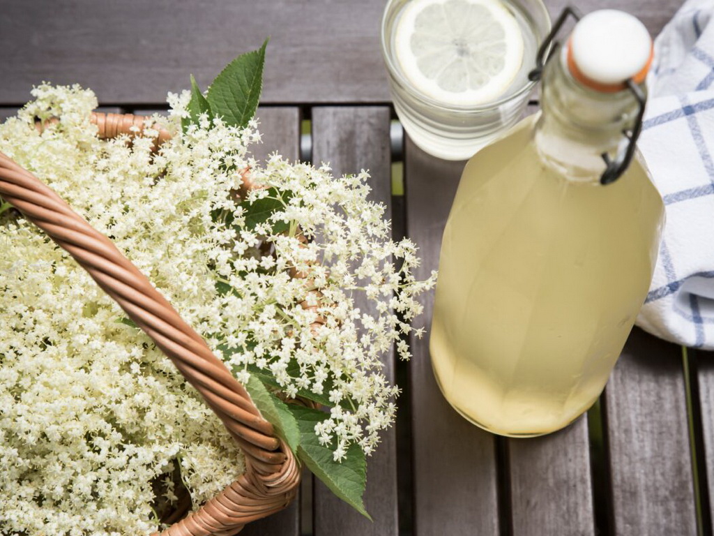 Napravite domaći sirup koji jača imunitet i osvježava dušu