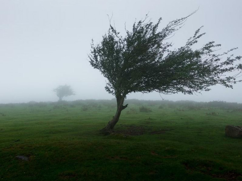 Narandžasti meteoalarm zbog najavljenog olujnog vjetra u Crnoj Gori