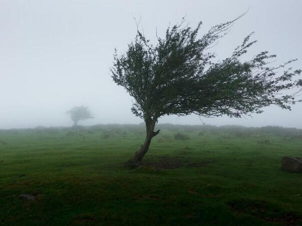 Narandžasti meteoalarm zbog najavljenog olujnog vjetra u Crnoj Gori