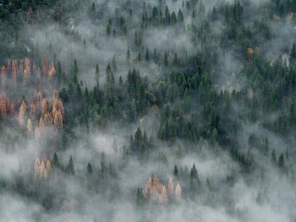 Narednih dana nestabilno vrijeme u većem dijelu BiH