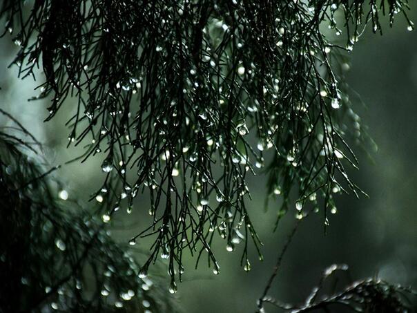 Narednih dana pretežno oblačno i nestabilno vrijeme sa pljuskovima