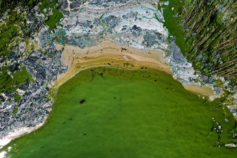 Našem planetu prijeti 'fosfogedon'