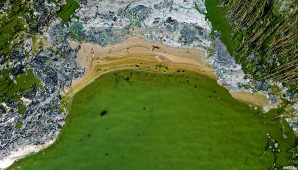 Našem planetu prijeti 'fosfogedon'