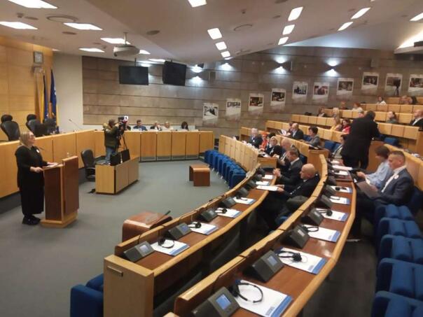 Nasilje u porodici ima zabrinjavajuće razmjere, neophodan brži i jači odgovor sistema