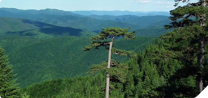 Spasioci na Tajanu locirali izgubljenog planinara, idu prema njemu