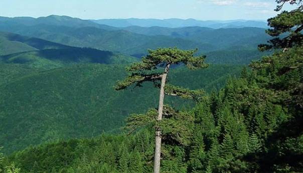 Spasioci na Tajanu locirali izgubljenog planinara, idu prema njemu