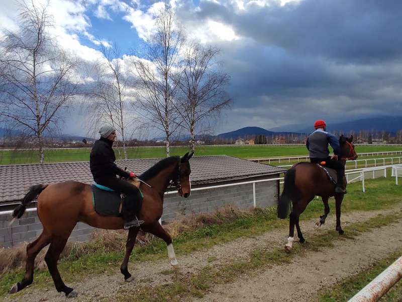 Nastavlja se tradicija konjičkog sporta u Cazinu