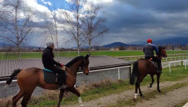 Nastavlja se tradicija konjičkog sporta u Cazinu