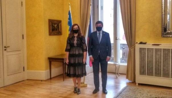 Nastupna posjeta ambasadorice Mlinarević ministru inostranih poslova Petričeku