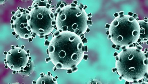 Naučnici napravili koronavirus, otvoren put ka vakcini